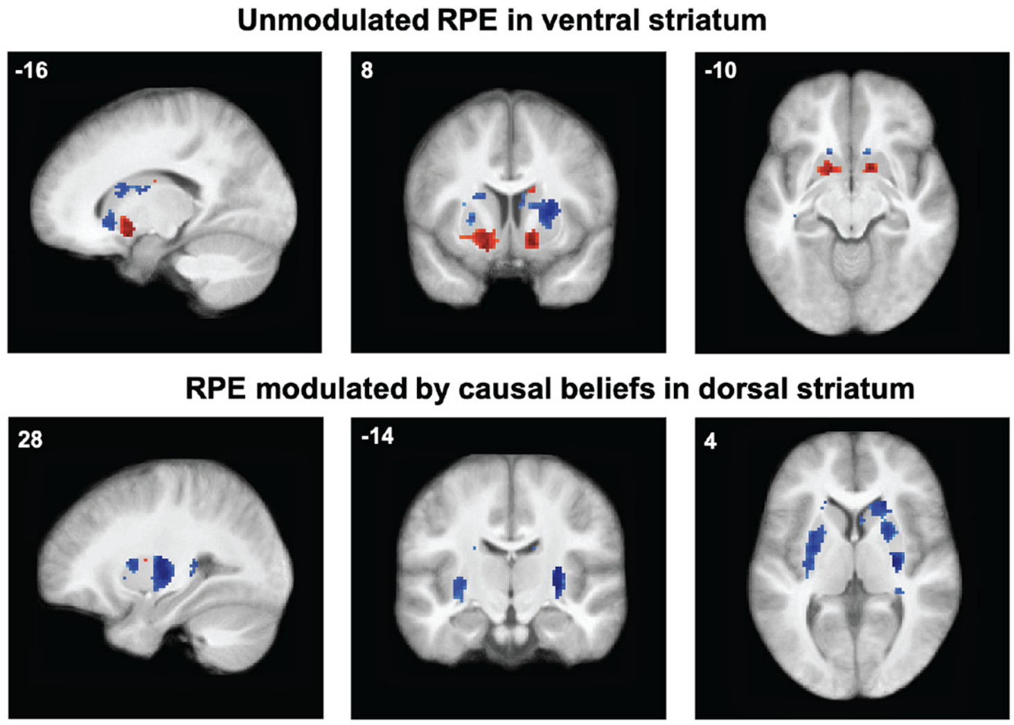 Causal inference demonstration